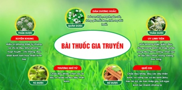 Bài thuốc gia truyền chủ trị thoái hóa khớp, tê bì chân tay